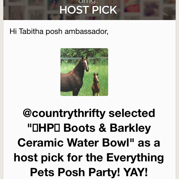 Boots & Barkley Dog Hp 3x Boots Barkley Ceramic Water Bowl Poshmark
